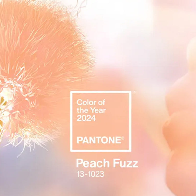 Embrace the Warmth with Pantones Colour Of The Year 2024!