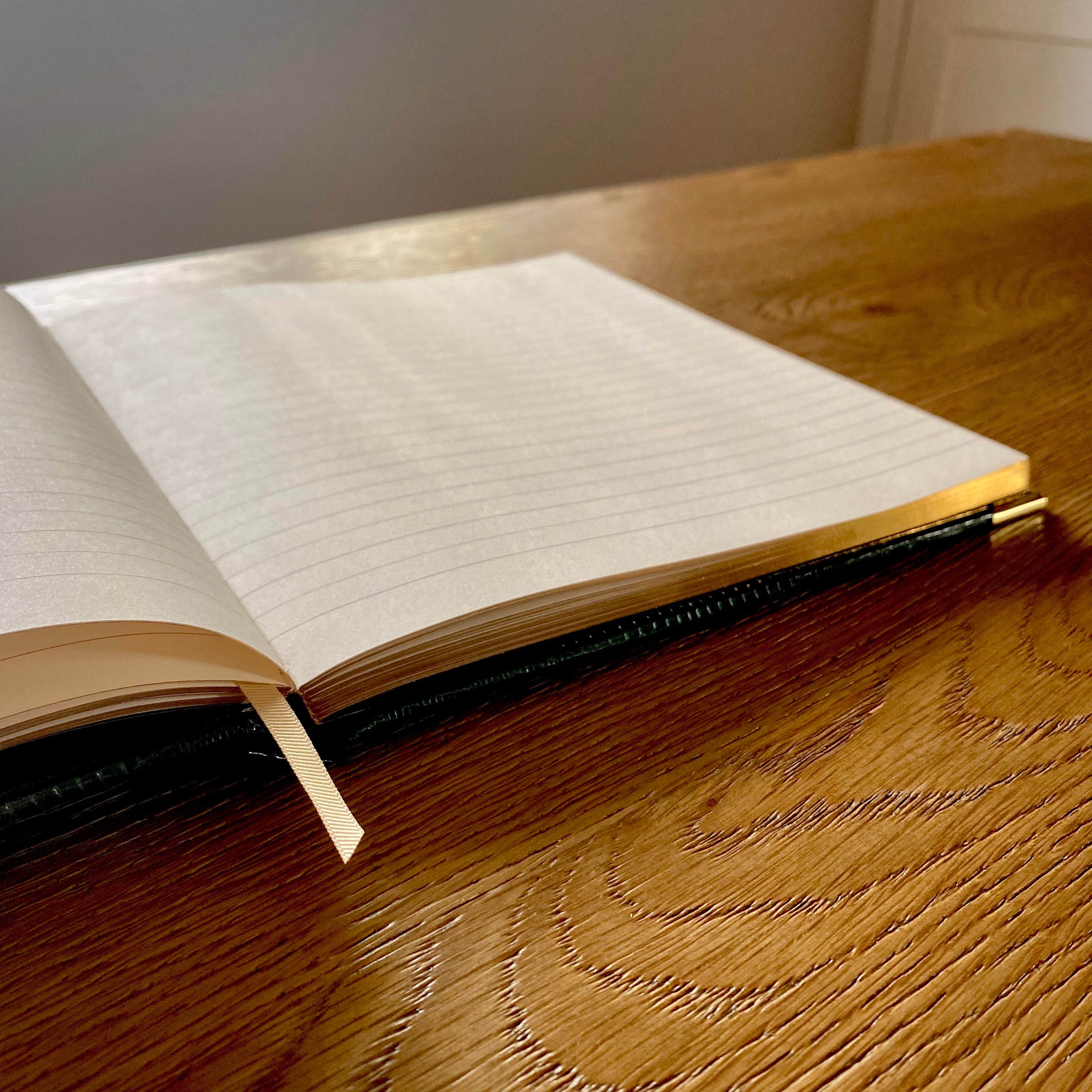 The Aurum Iguana Notebook - Deep Marine