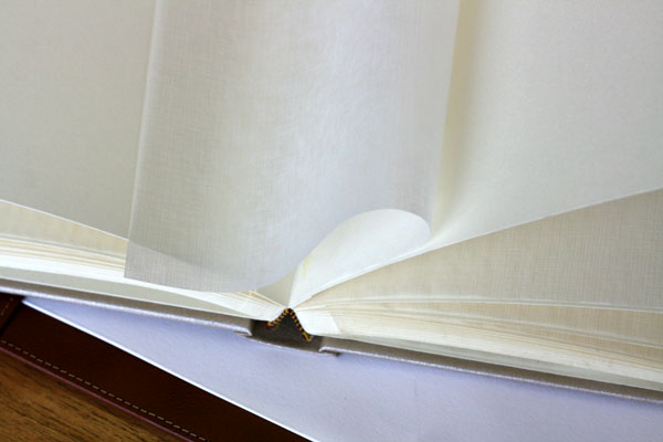 Luxury Wedding Photograph Album