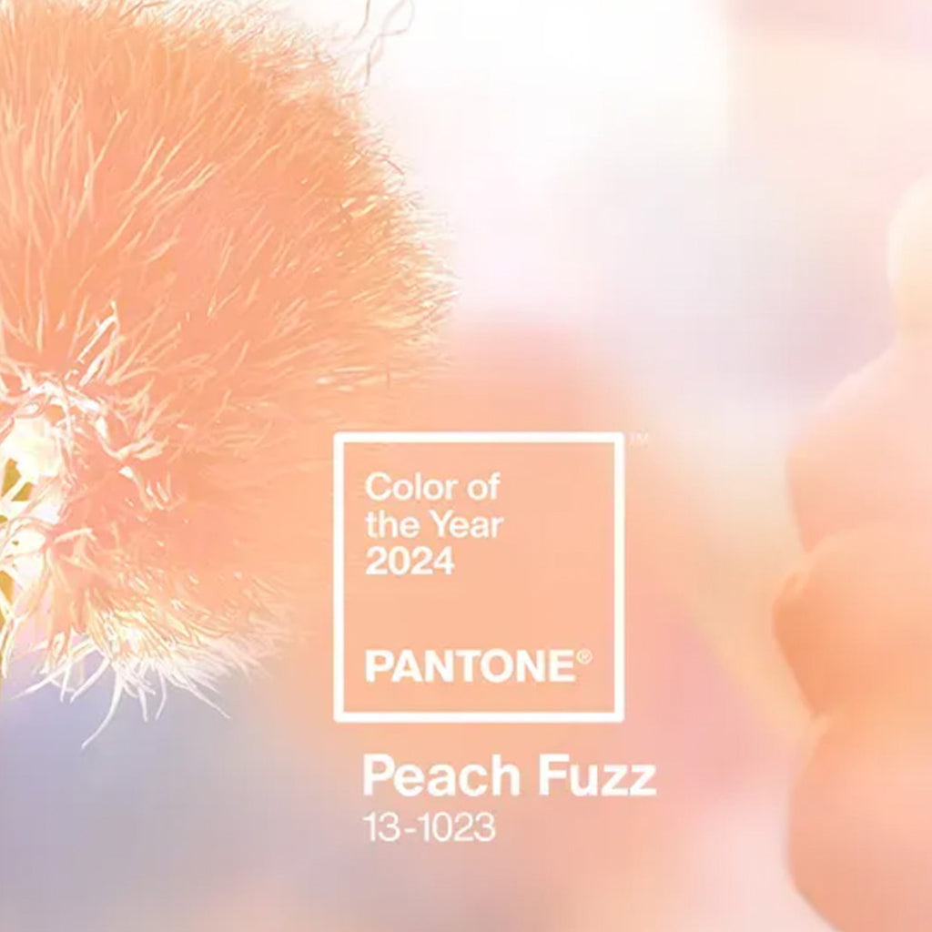 Embrace the Warmth with Pantones Colour Of The Year 2024! – The ...
