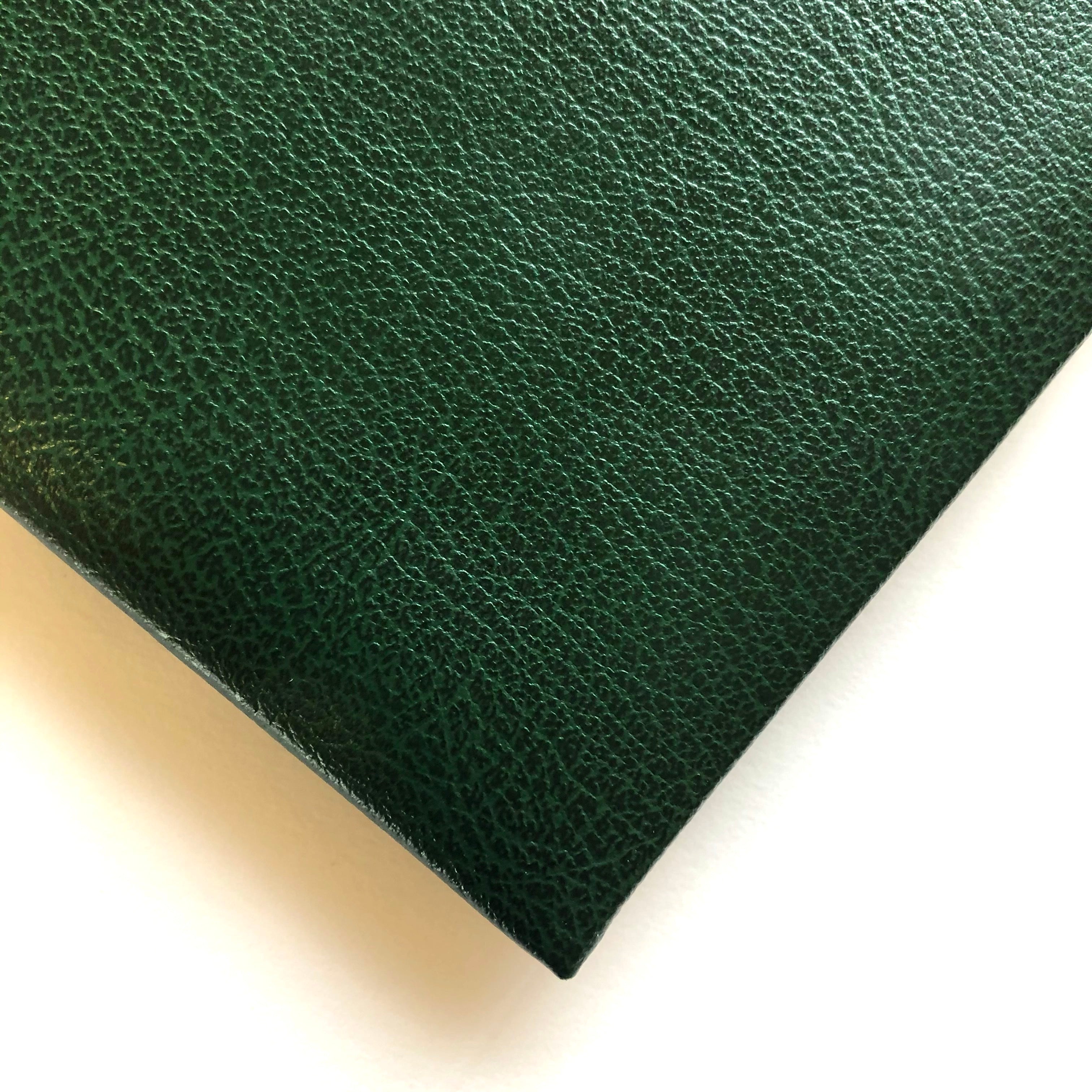 Swatch of Green Leather Visitors Book
